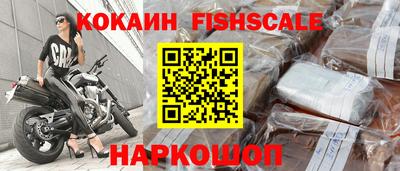 стаф Сланцы