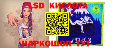 стаф Сланцы