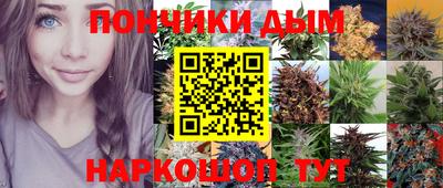 гидра Ставрополь
