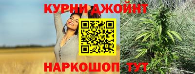 гидра Ставрополь