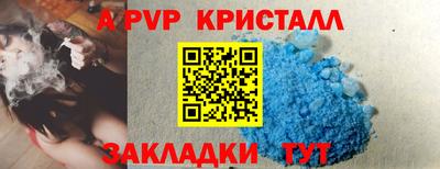 стаф Сланцы