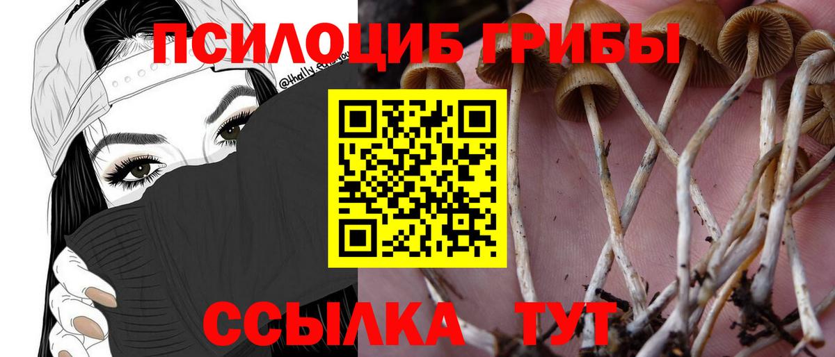 Галлюциногенные грибы ЛСД  Вход с VPN  Алапаевск  Галлюциногенные грибы Psilocybine cubensis 